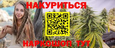 сатива Гай