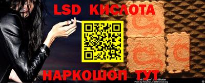 гидра Гатчина