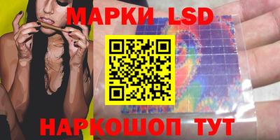 гидра Гатчина