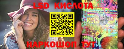 гидра Гатчина