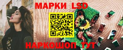 гидра Гатчина