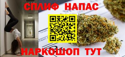 спиды Гагарин