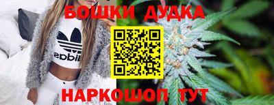 сатива Гай
