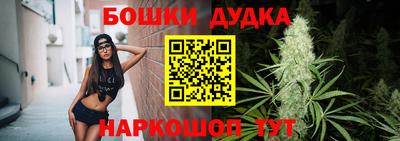 сатива Гай