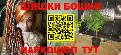 гидра Гатчина