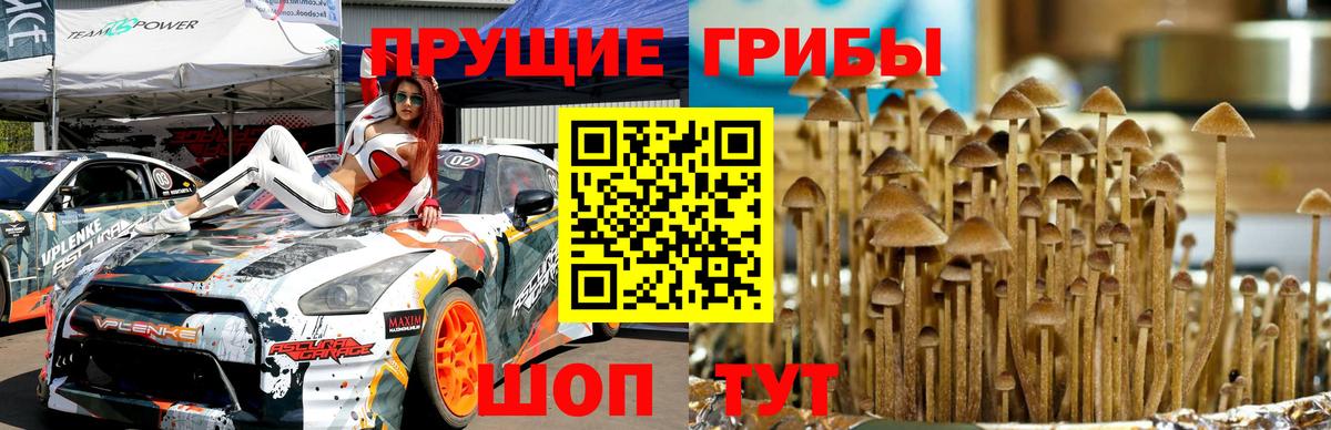 Галлюциногенные грибы прущие грибы  Вход с VPN  Псилоцибиновые грибы Psilocybine cubensis  Шелехов 